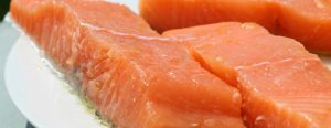 salmon proteina