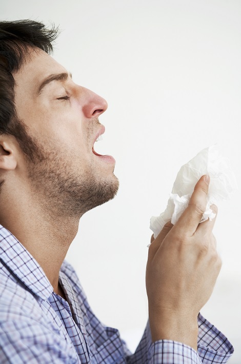 Remedios caseros para la alergia al polvo