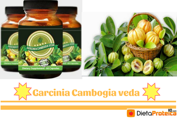 Garcinia Cambogia veda