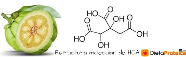 Estructura molecular de HCA