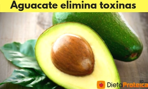 Aguacate elimina toxinas