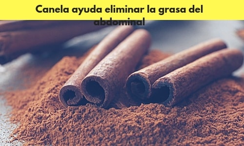 Canela ayuda eliminar la grasa del abdominal