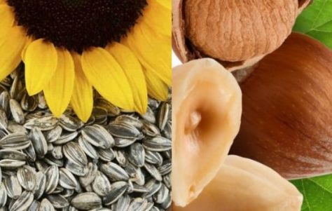Lista de Alimentos Ricos en Magnesio