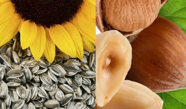 Mejores alimentos ricos en magnesio