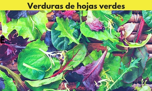 verduras de hojas verdes para perder abdomen