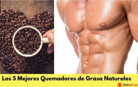 5 Quemadores de Grasa Naturales que Funcionan